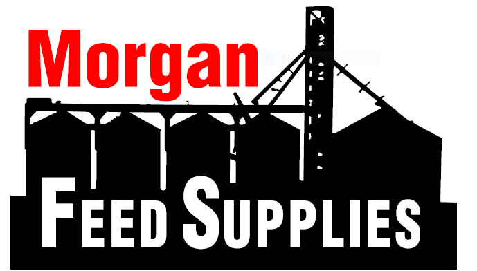 Morgan Feed Supplies