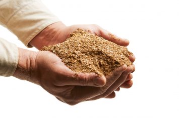 LAMB STD FEEDLOT CONCENTRATE
